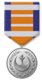 Award Commanding Officer's Commendation.png