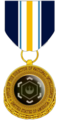 Award RAI’s Distinguished Public Service Medal Award.png
