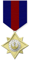 Superior Service Medal